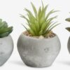 Artificial plant BROR D7xH9cm assorted